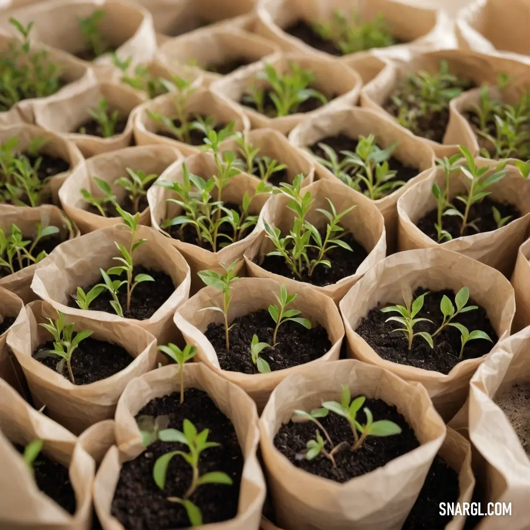 An enchanting display of bags filled with vibrant plants, meticulously arranged atop a rustic table, set upon earthy soil. The natural colors intertwine, showcasing hues of green and brown, evoking a sense of life and vitality in a serene setting.