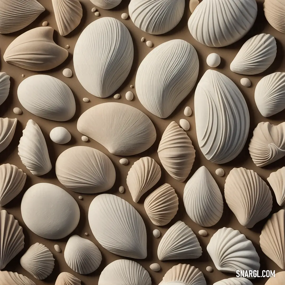 Eggshell color. Group of seashells are arranged on a wall with a brown background