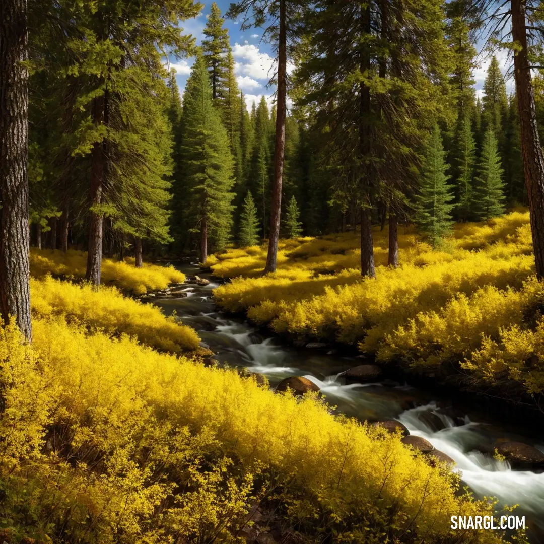 A peaceful stream flows gently through a forest, surrounded by a sea of yellow flowers and towering trees. The vibrant yellow of the flowers blends seamlessly with the natural beauty, exemplifying the pure brightness of the color #FFFF00.