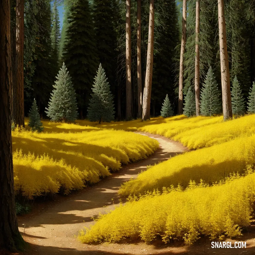 A tranquil path meanders through a vibrant yellow field, with tall trees lining the background. The vivid color of the field showcases the intensity of CMYK 0,0,100,0, making it a perfect example of yellow's striking beauty in nature.