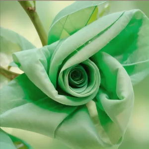Emerald In Nature