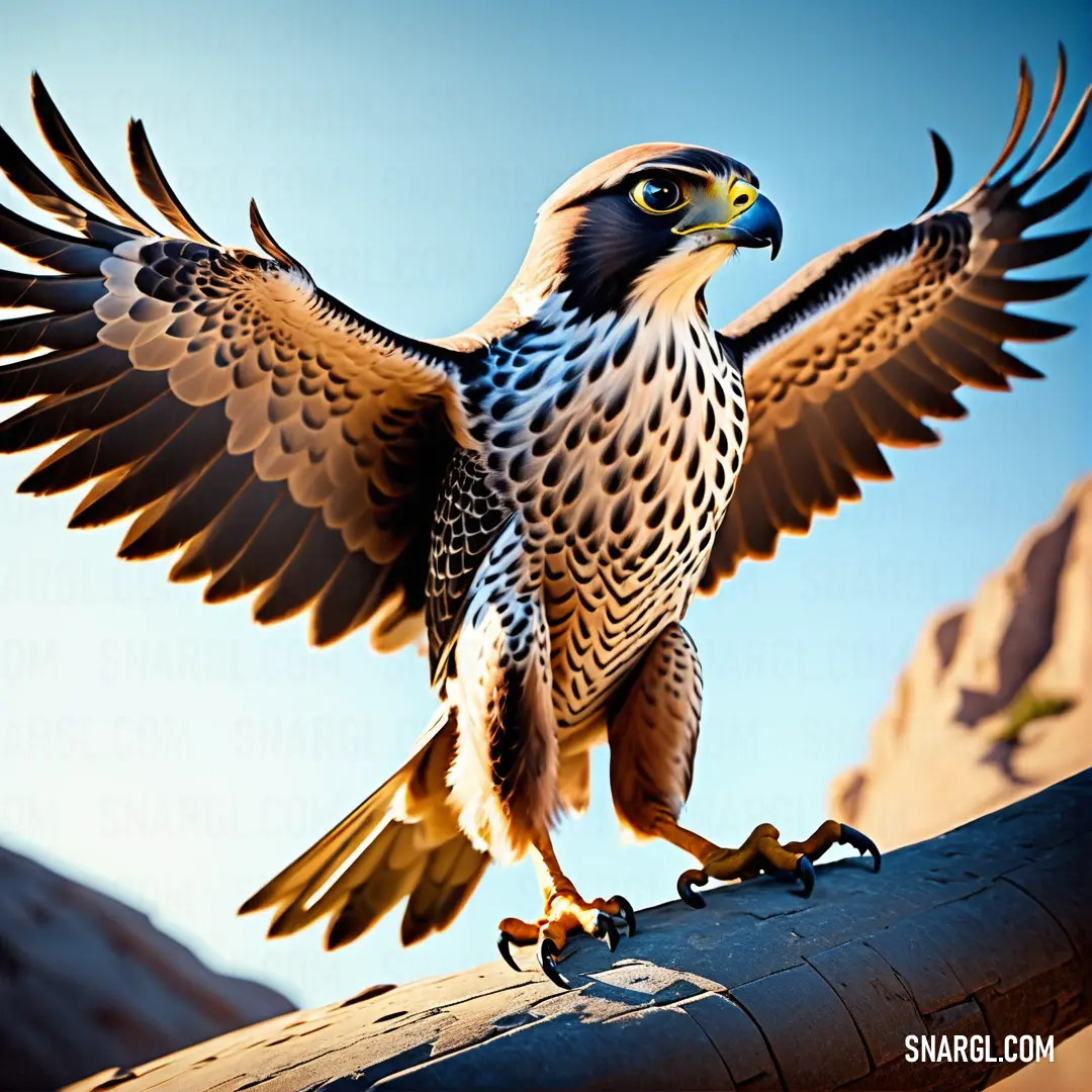 Falcon with wings spread on a pole with its wings spread out and spread wide open