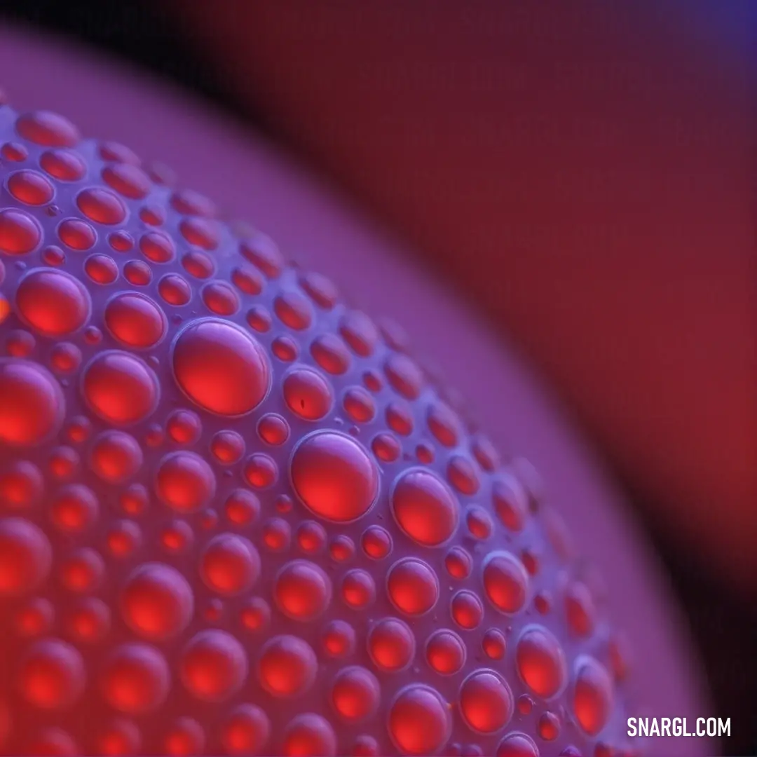 Close up of a red and purple object with bubbles on it's surface and a blurry background. Color RGB 178,34,34.