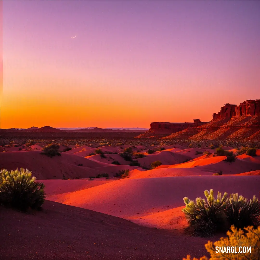 Desert with a sunset in the background and a desert landscape with bushes