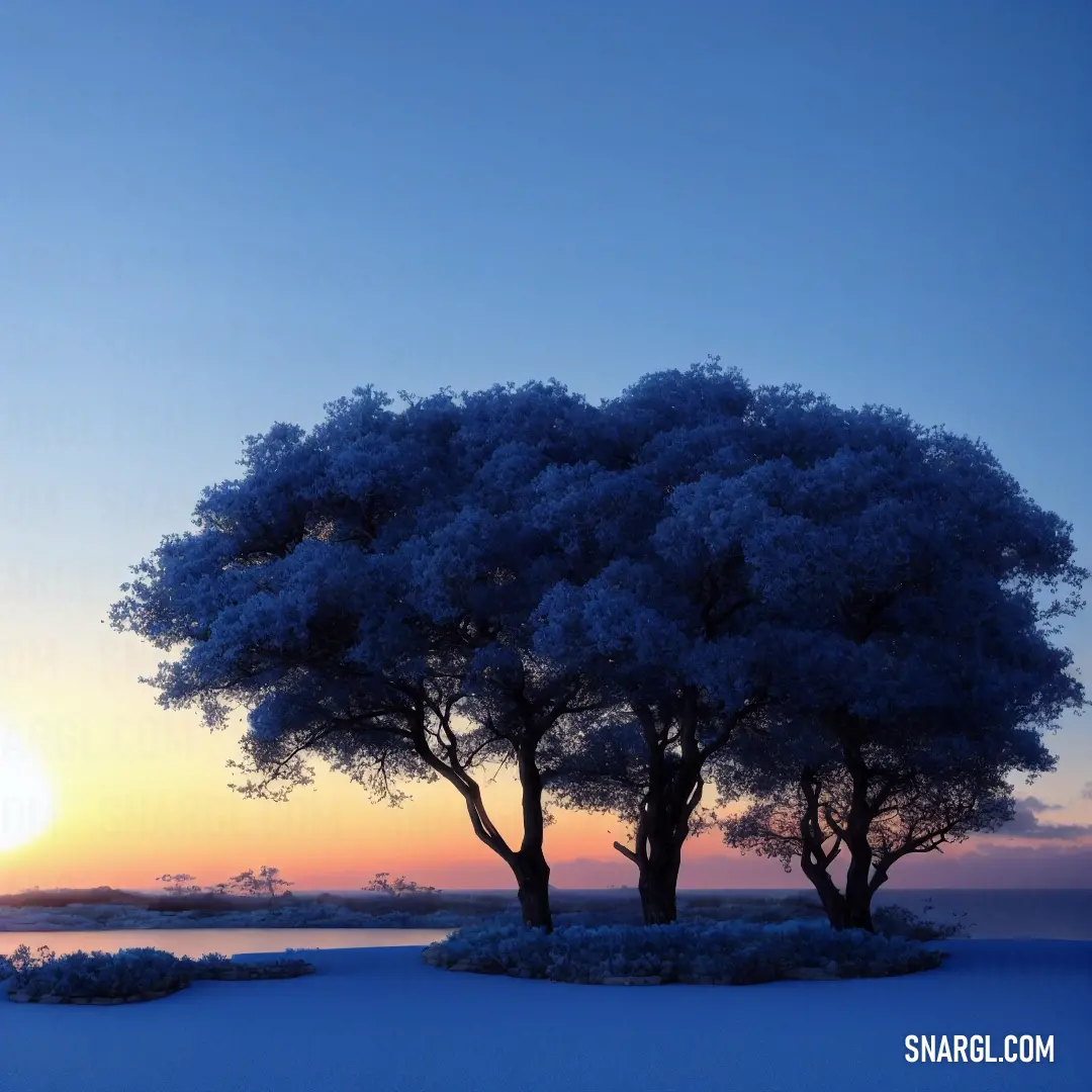 Couple of trees that are in the snow near a body of water at sunset or dawn or dawn