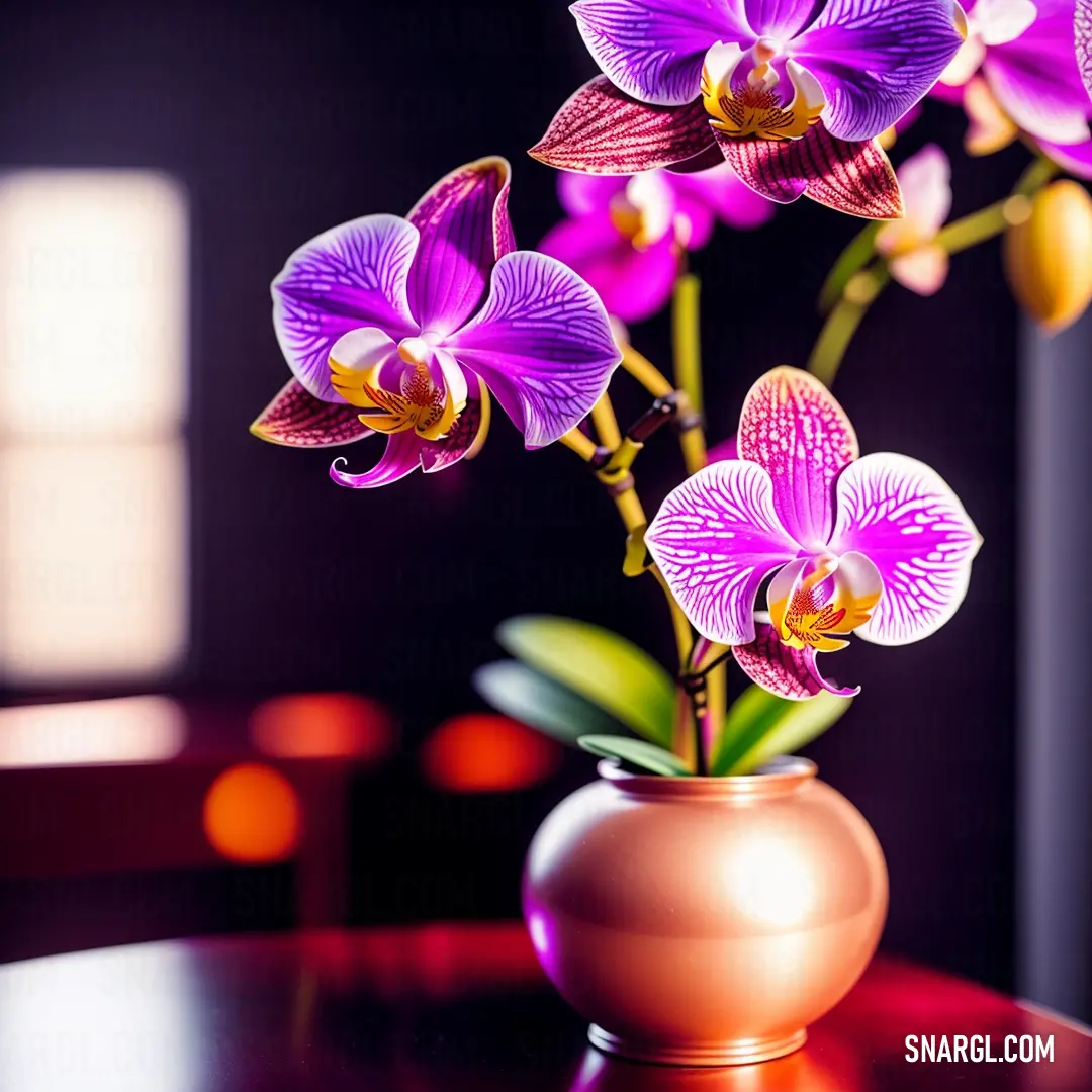 Vase with purple flowers on a table in a room with dark walls and a window in the background