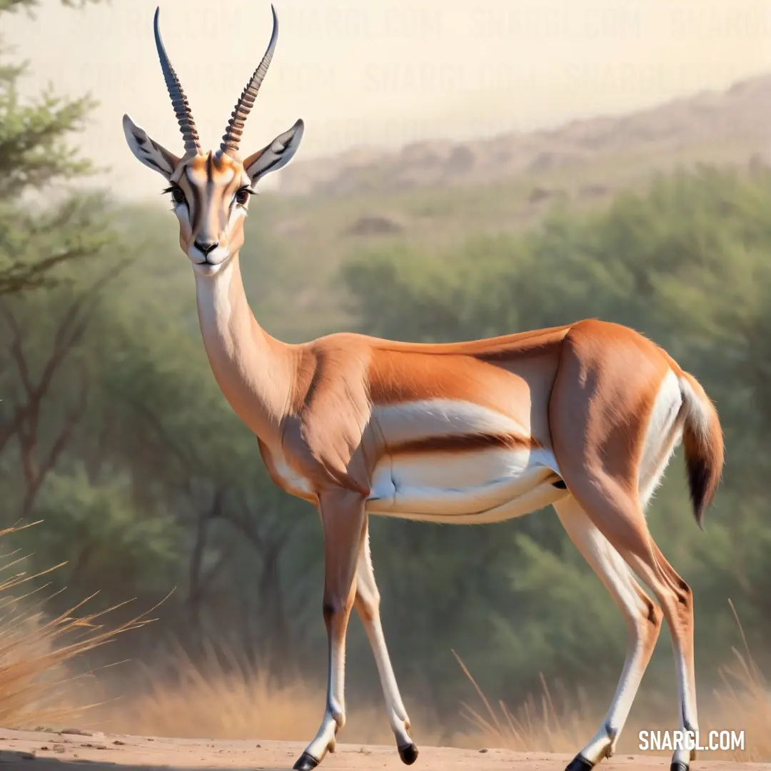 Gazelle standing in the middle of a field with trees in the background