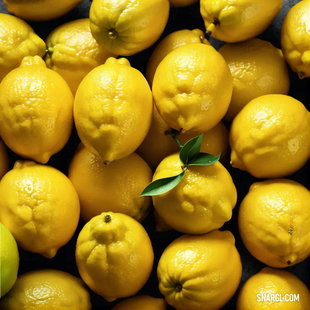 Pile of lemons with a green apple in the middle of them. Color Gold.