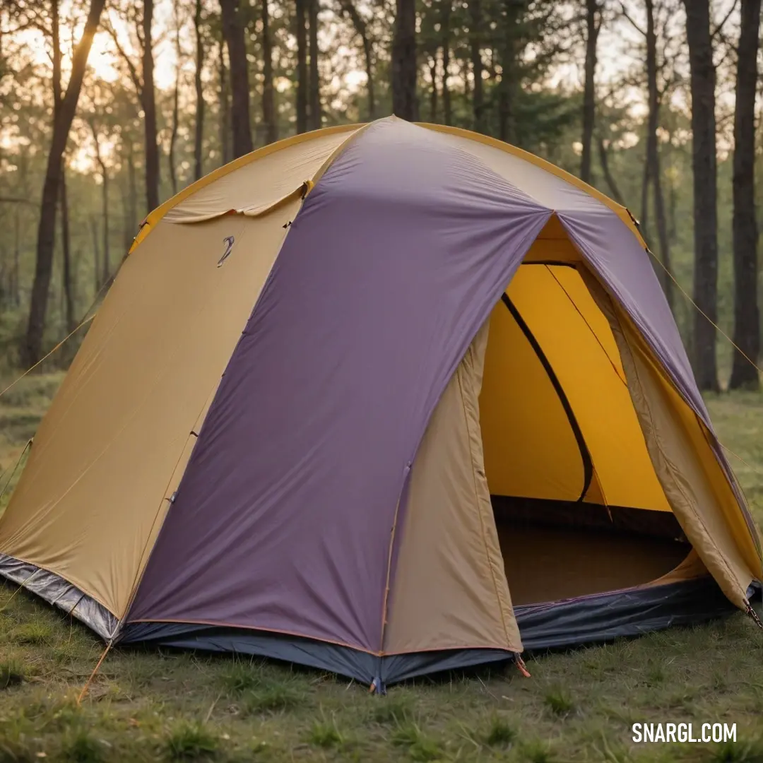 A cozy tent set amidst a grassy clearing near towering trees, blending harmoniously into the natural surroundings, inviting adventurers and nature enthusiasts alike to discover the simple joys of camping and exploration.