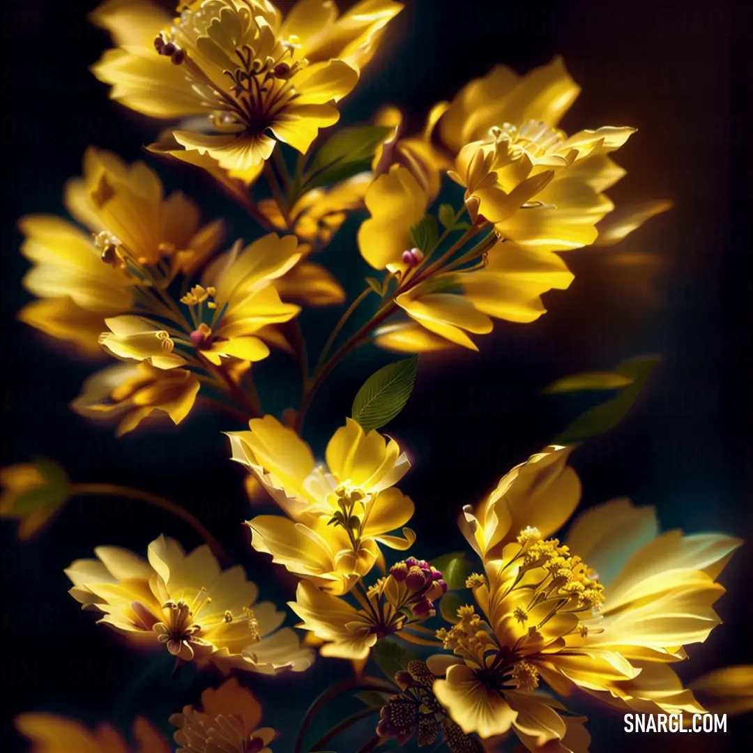Bunch of yellow flowers with green leaves on a black background with a black background