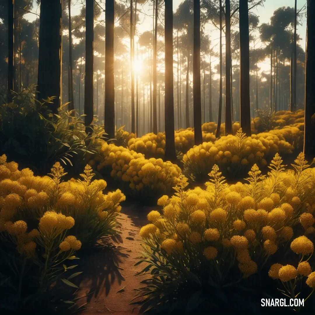 Goldenrod color. Path through a forest with yellow flowers and trees in the background