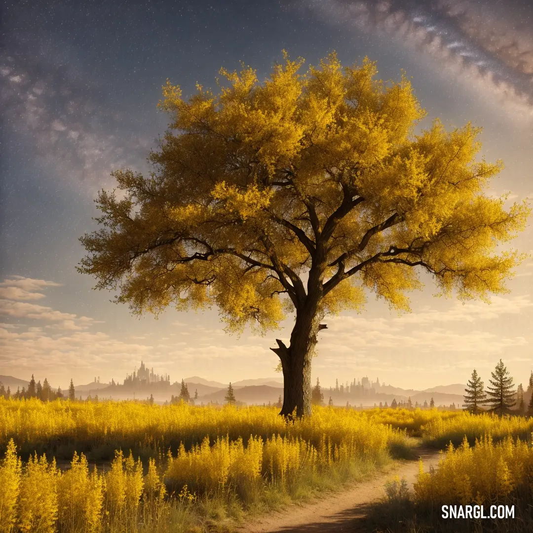 Tree in a field with a dirt path leading to it and a sky background. Example of #DAA520 color.