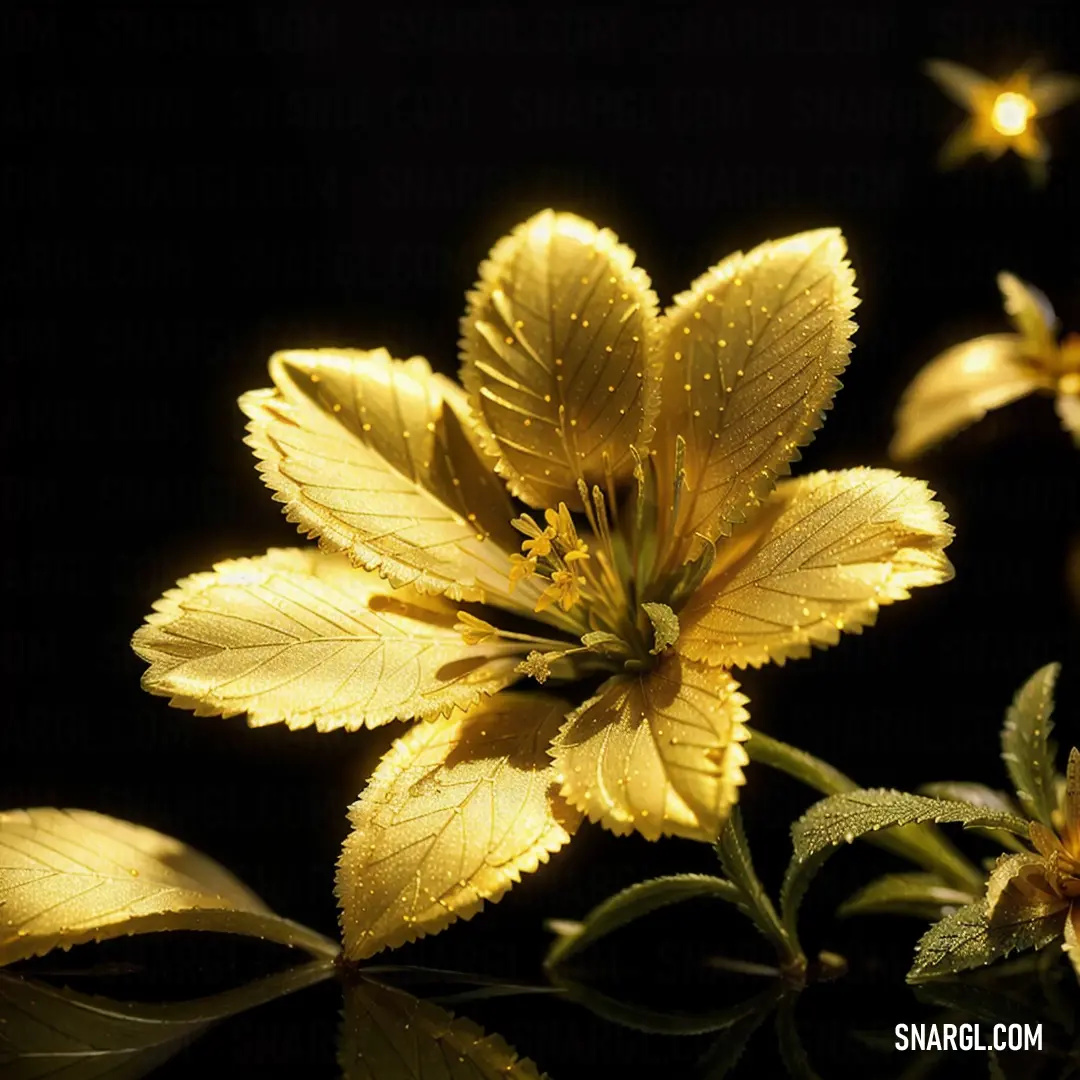 Yellow flower with leaves on a black background with a reflection of the flower on the water surface with a star in the middle
