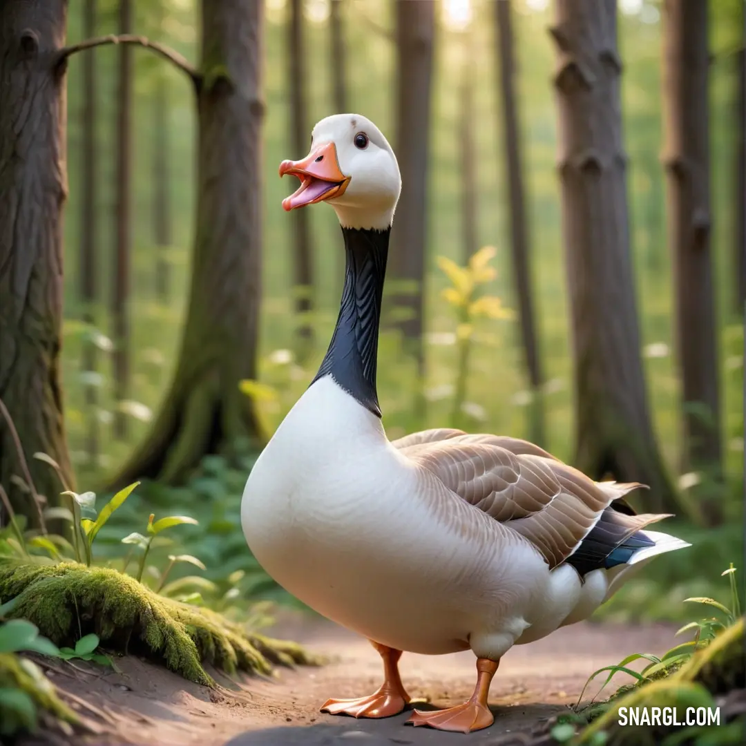 Duck standing on a path in a forest with trees in the background