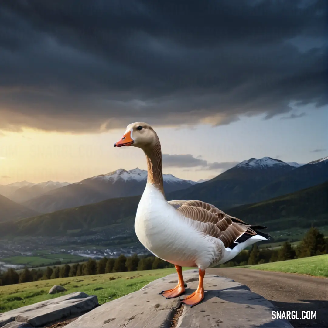 Duck standing on a rock in the middle of a road with mountains in the background