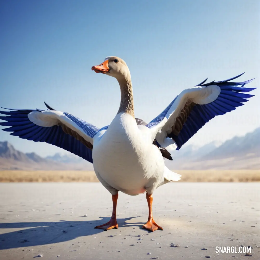 Duck with its wings spread out on a beach with mountains in the background