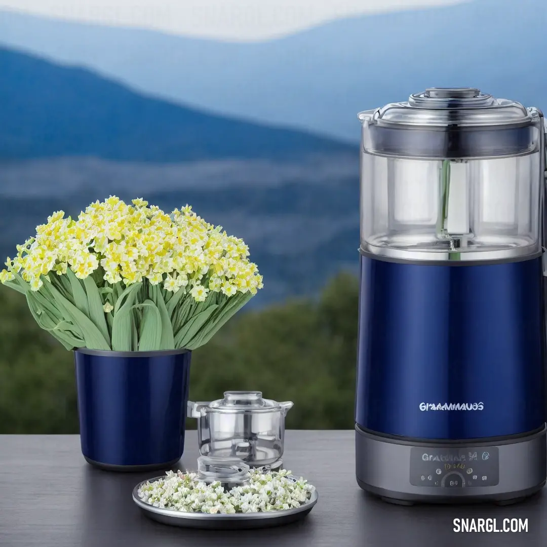 Blue and silver food processor and a plate with flowers on it and a mountain view in the background