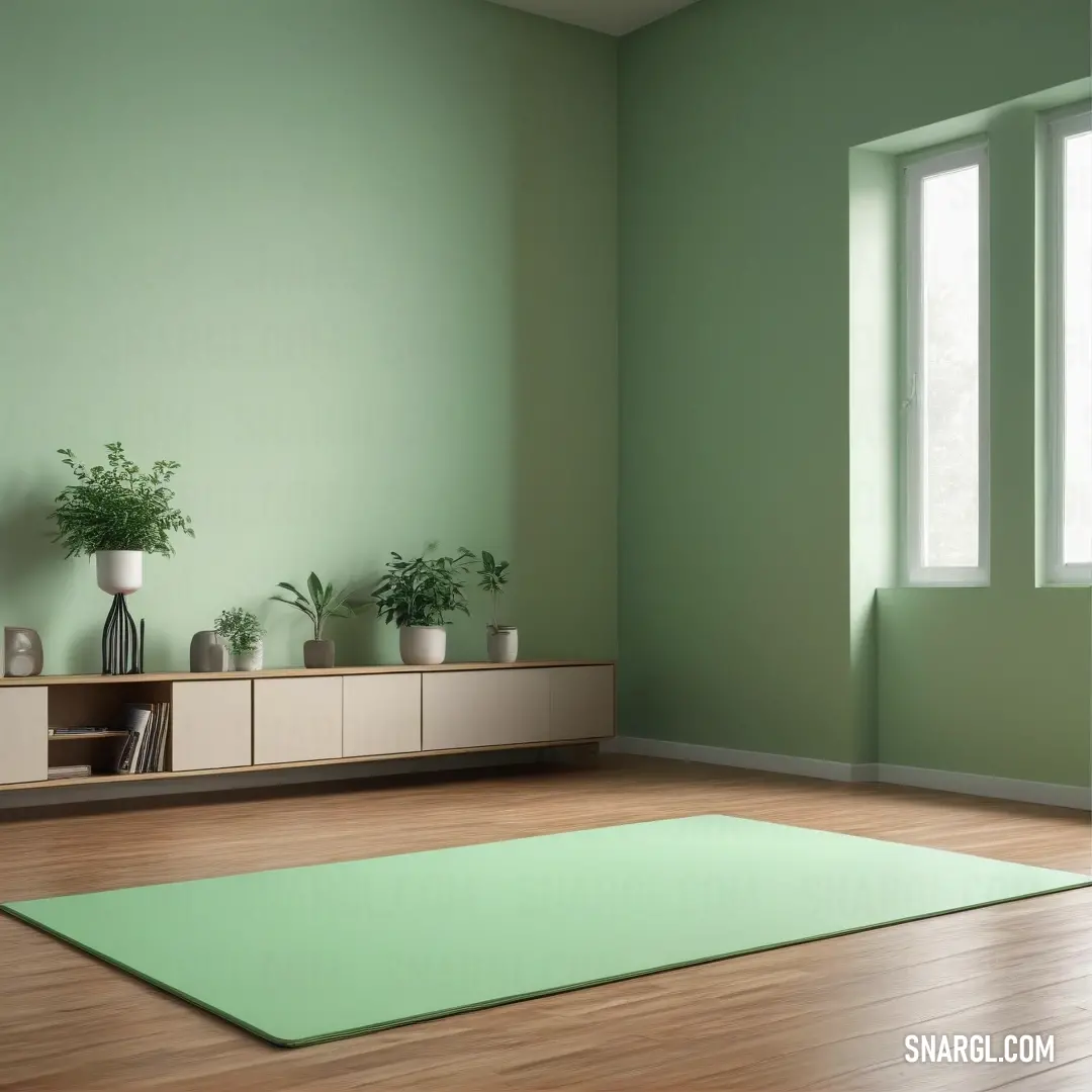 Granny Smith Apple color. Room with a green wall and a green rug on the floor and a window