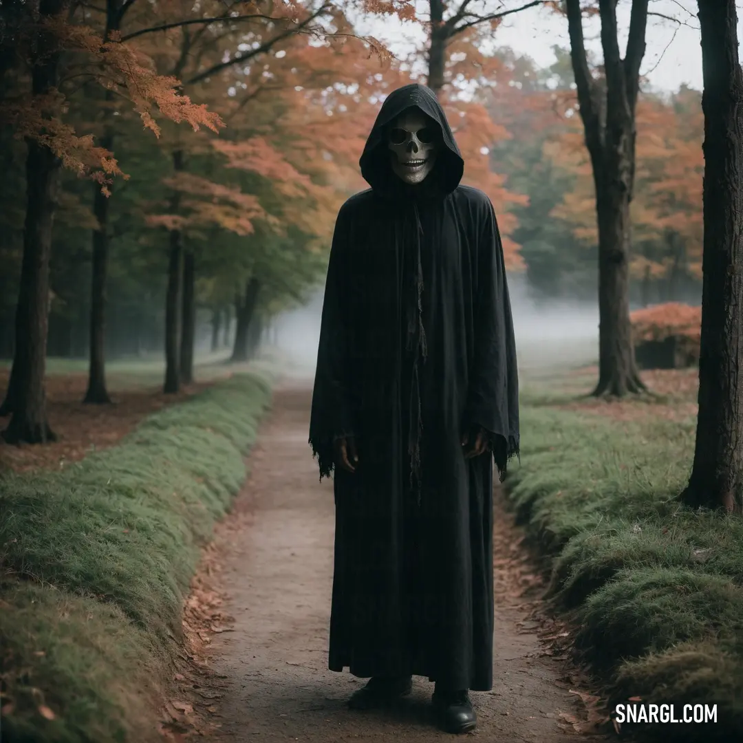 Man in a black robe and a skeleton mask is walking down a path in a forest with trees