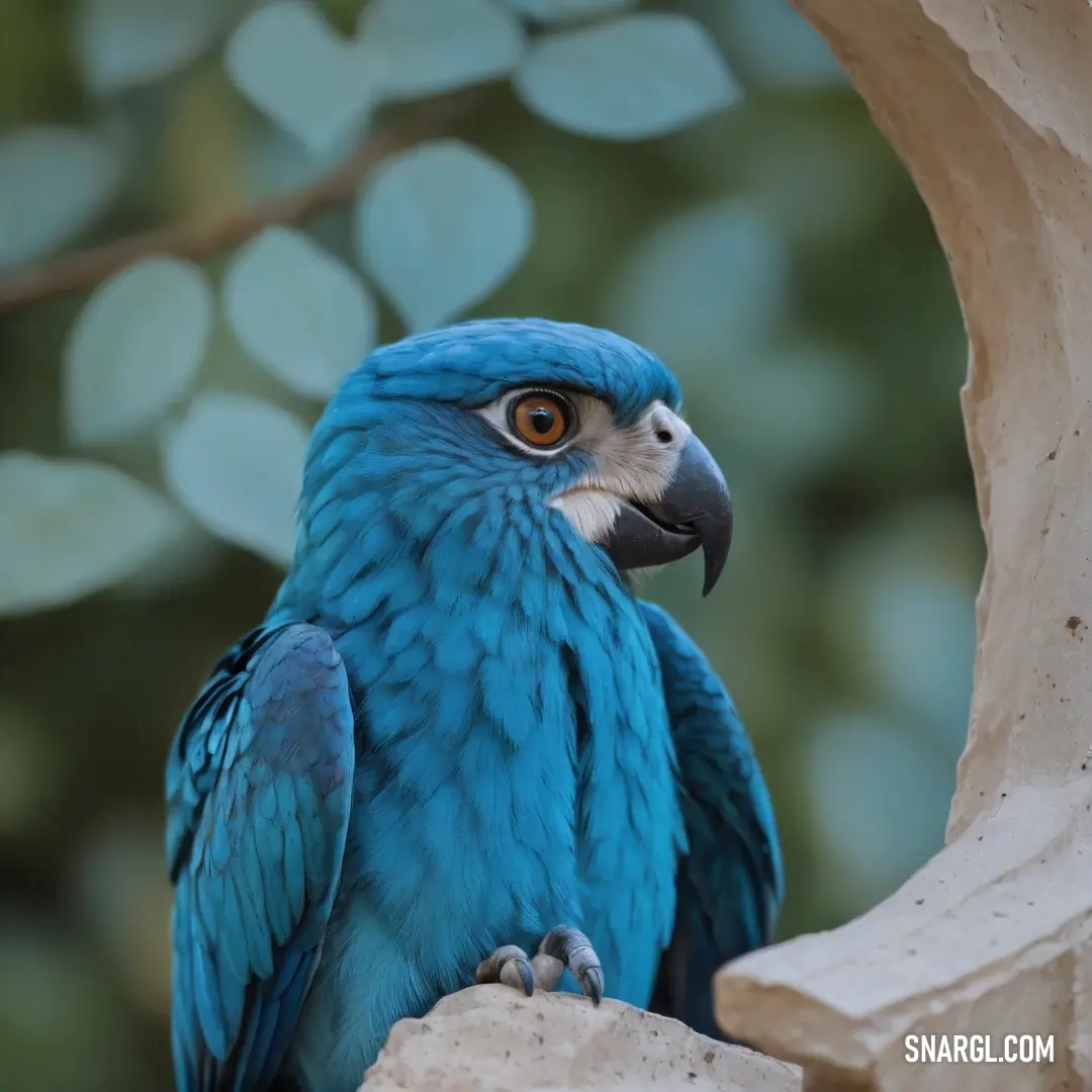 Blue parrot on a tree branch with a green background and a tree branch in the foreground. Color CMYK 91,44,0,29.