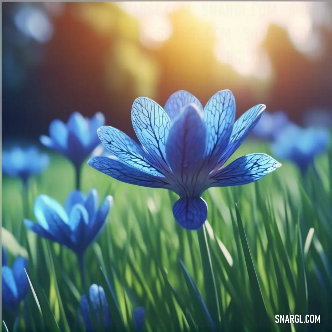 Blue flower is in the middle of a field of grass with the sun shining through the trees in the background. Example of Han blue color.