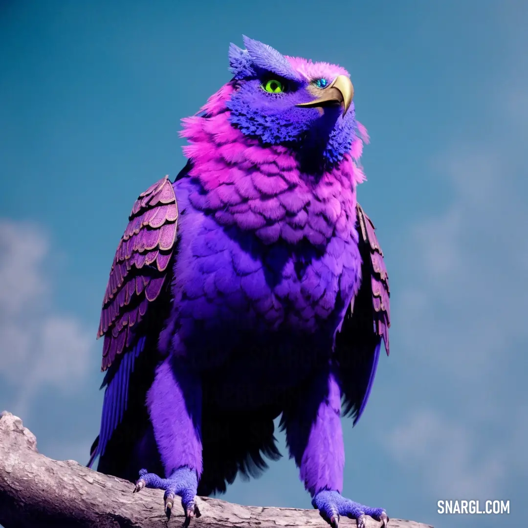 Purple bird with a yellow beak on a branch with a blue sky in the background