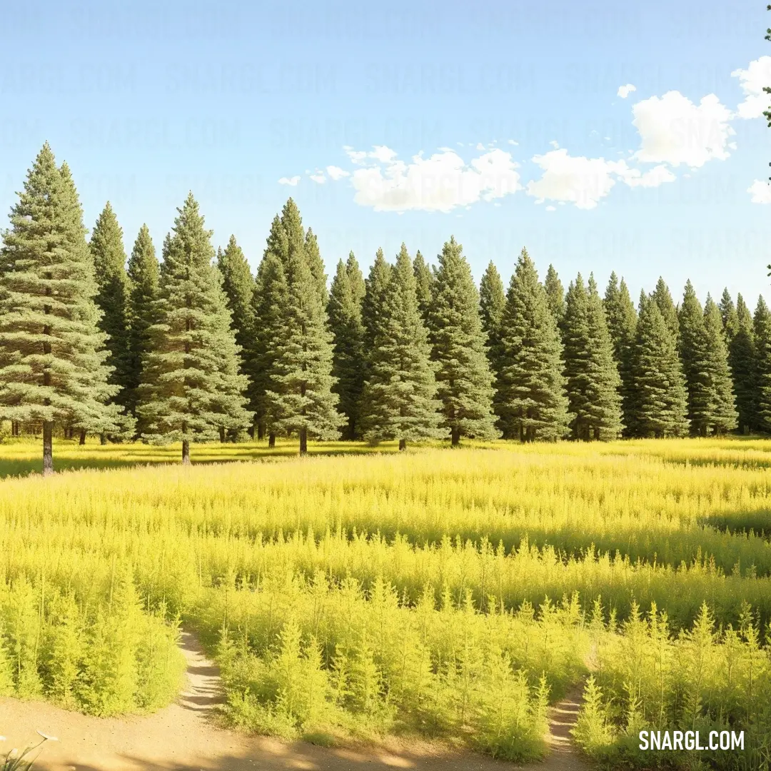 Hansa yellow color example: Field with a dirt path and trees in the background