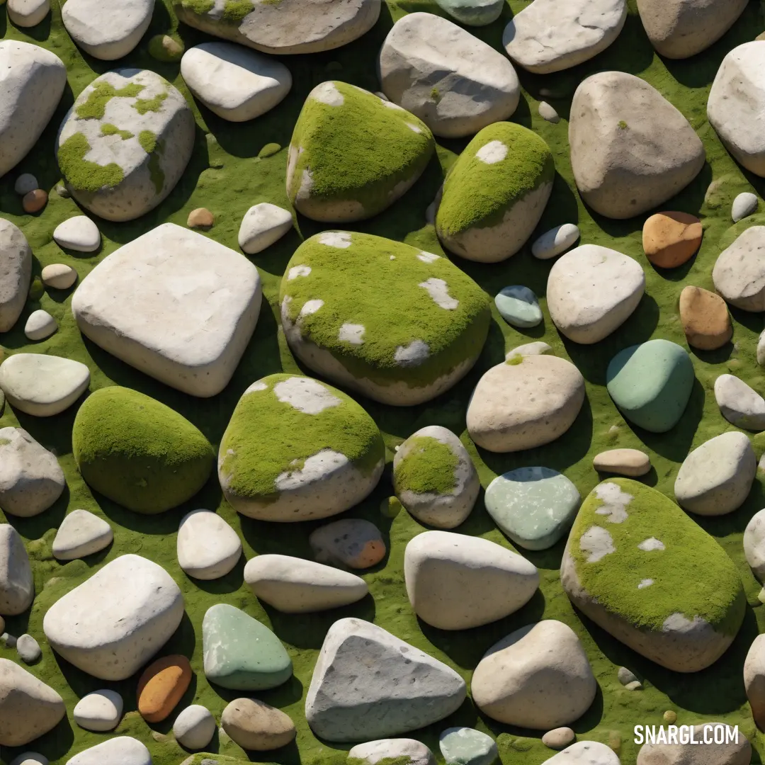 Green and white rock wall with rocks and grass on it and a white and green rock wall in the background. Example of Heart Gold color.