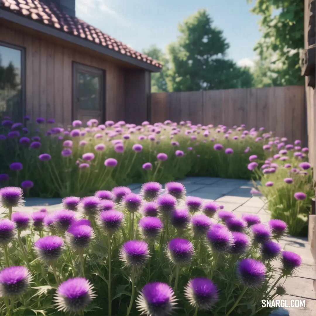Garden with purple flowers and a wooden fence in the background. Color #DF73FF.