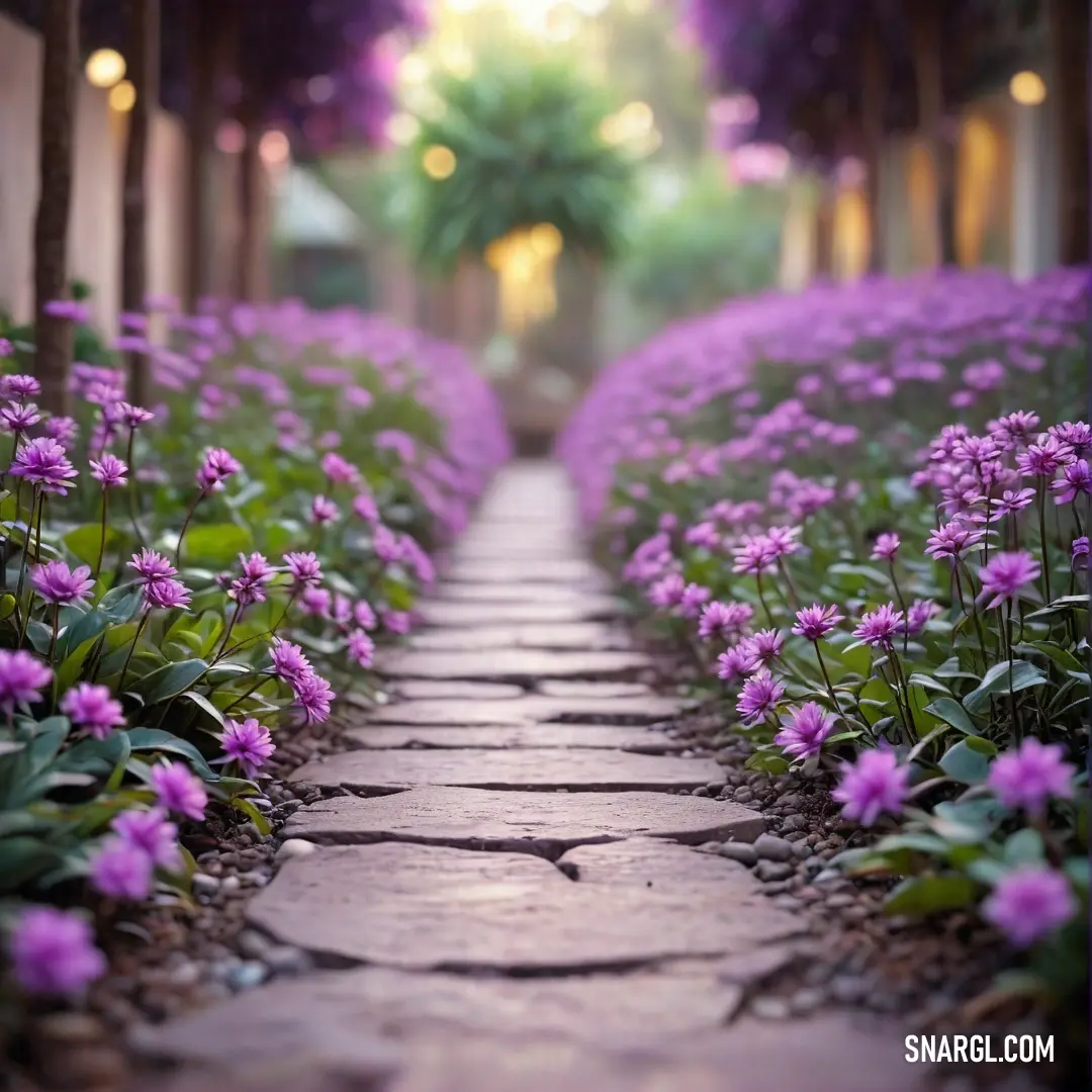 Pathway lined with purple flowers and greenery next to a building with lights on it's sides. Example of RGB 223,115,255 color.