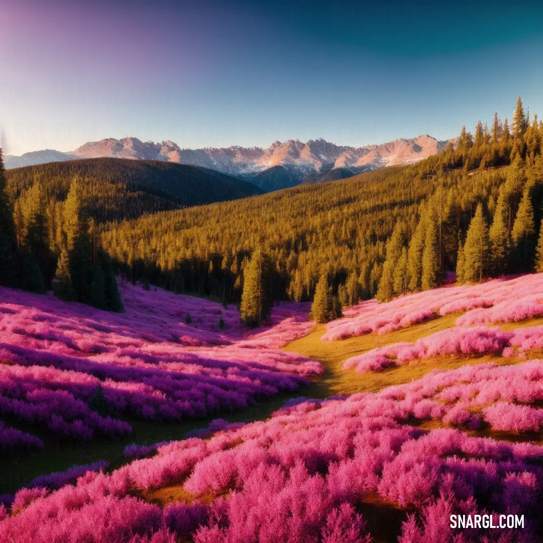 Field of flowers with mountains in the background. Color CMYK 0,59,29,0.