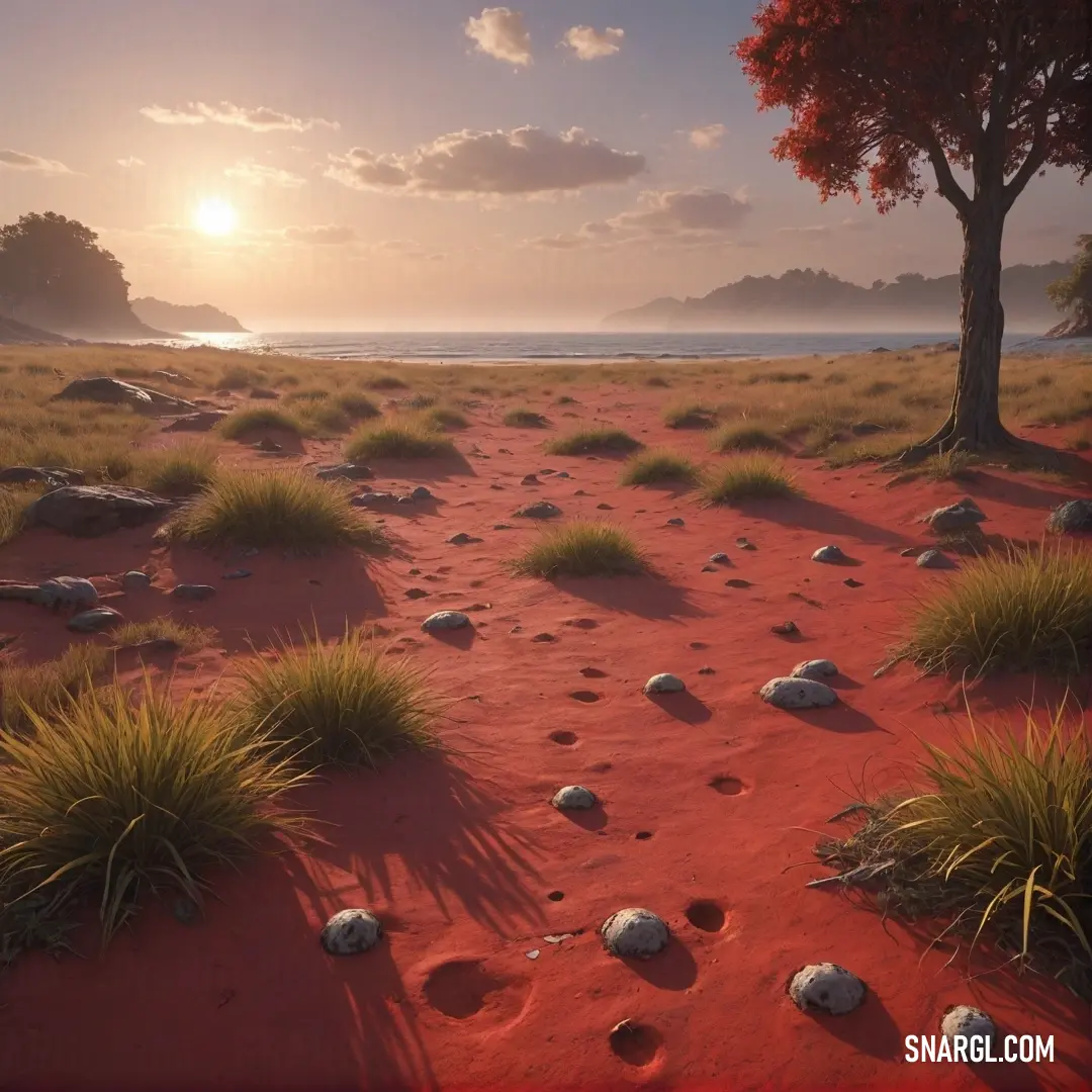 Indian red color. Red dirt path with rocks and grass on the side of it