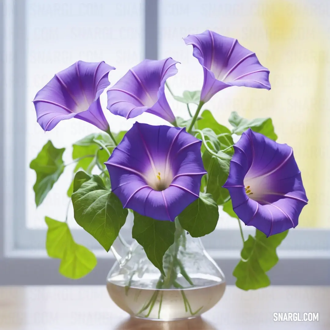 Iris color example: Vase filled with purple flowers on top of a table next to a window sill