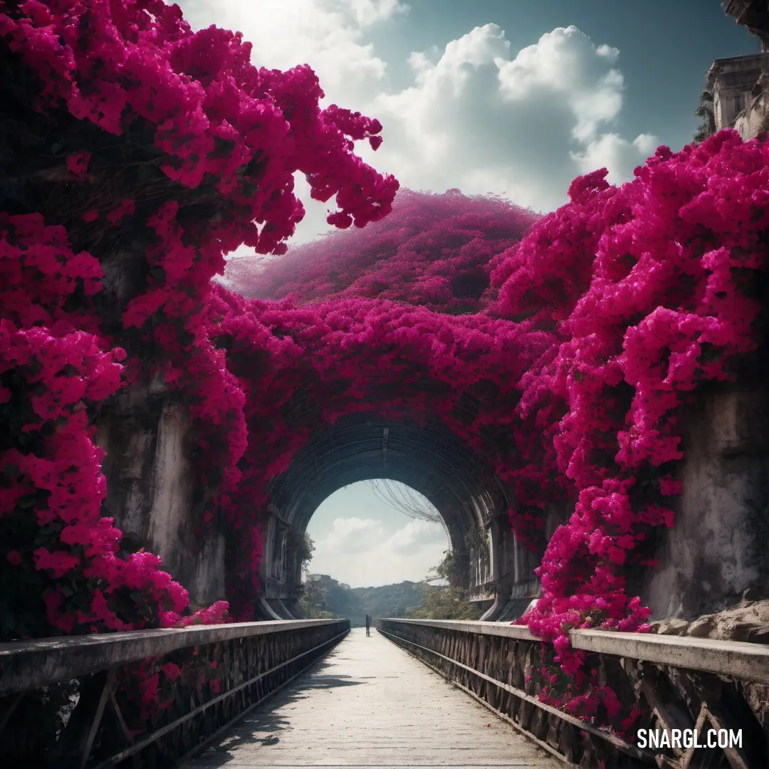 Walkway with a tunnel of flowers on it and a person walking down the walkway in the distance with a sky background