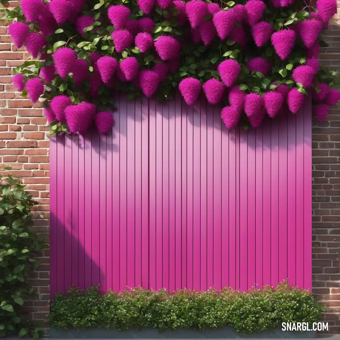 Pink fence with flowers growing over it and a brick wall behind it. Color RGB 165,11,94.