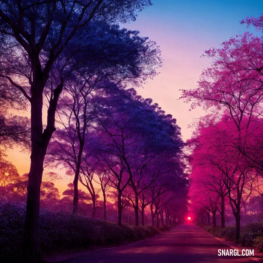 Road with trees and a pink sky in the background with a red light at the end of the road