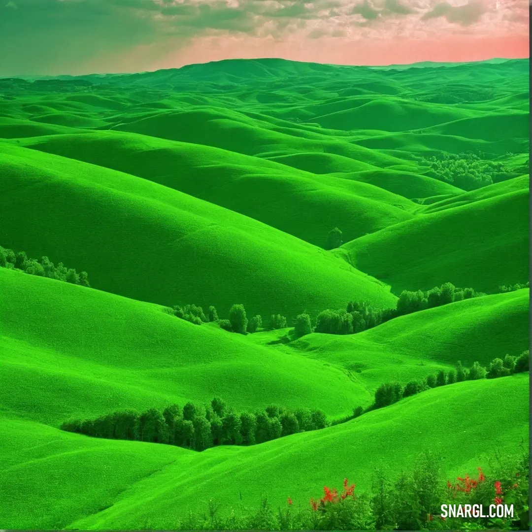 Green landscape with a sky background. Example of Kelly green color.