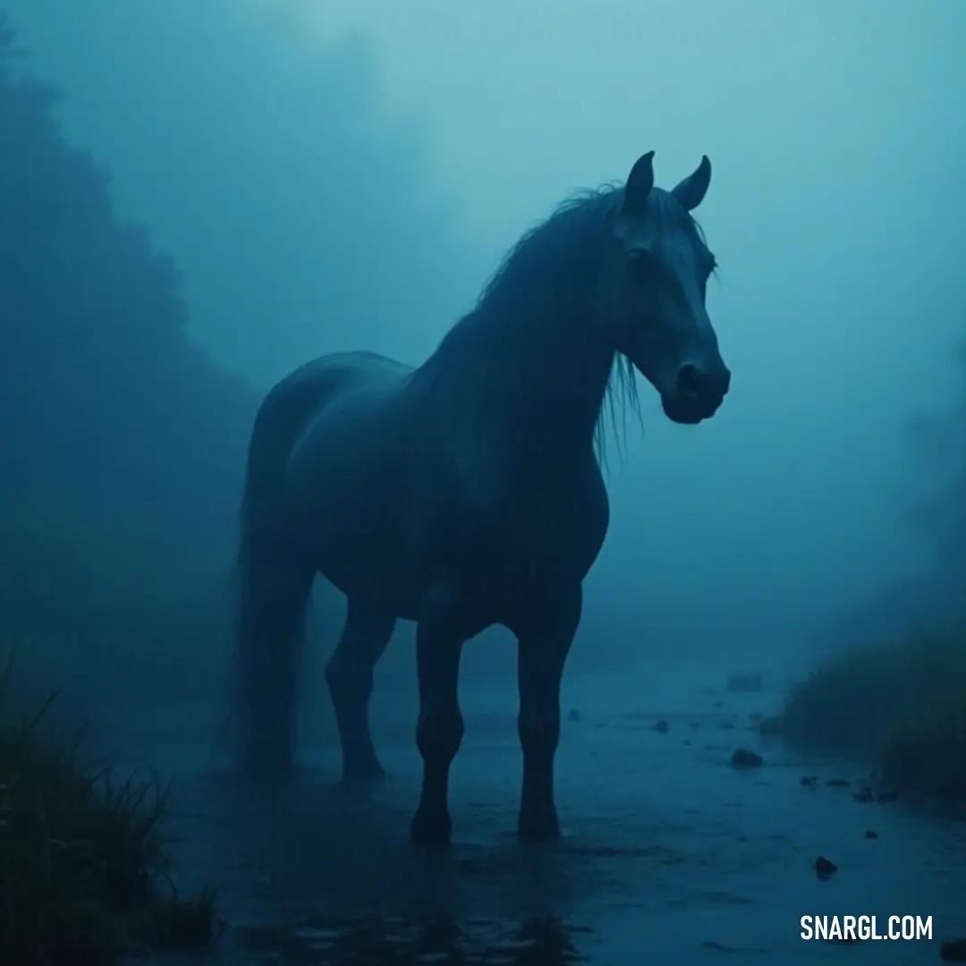 Enveloped in fog, a figure stands alone in a shadowy field, as the ghostly silhouettes of trees create an atmospheric scene that evokes intrigue and contemplation. A solitary figure stands in a dark, foggy field, surrounded by the silhouettes of distant trees, capturing a moment of introspection amidst nature's serene and haunting beauty.