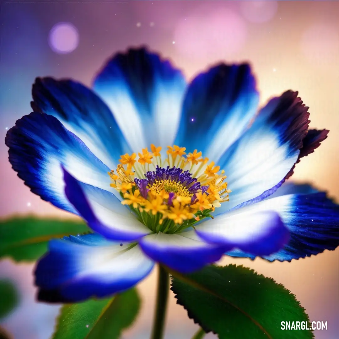 Blue and white flower with a yellow center and green leaves