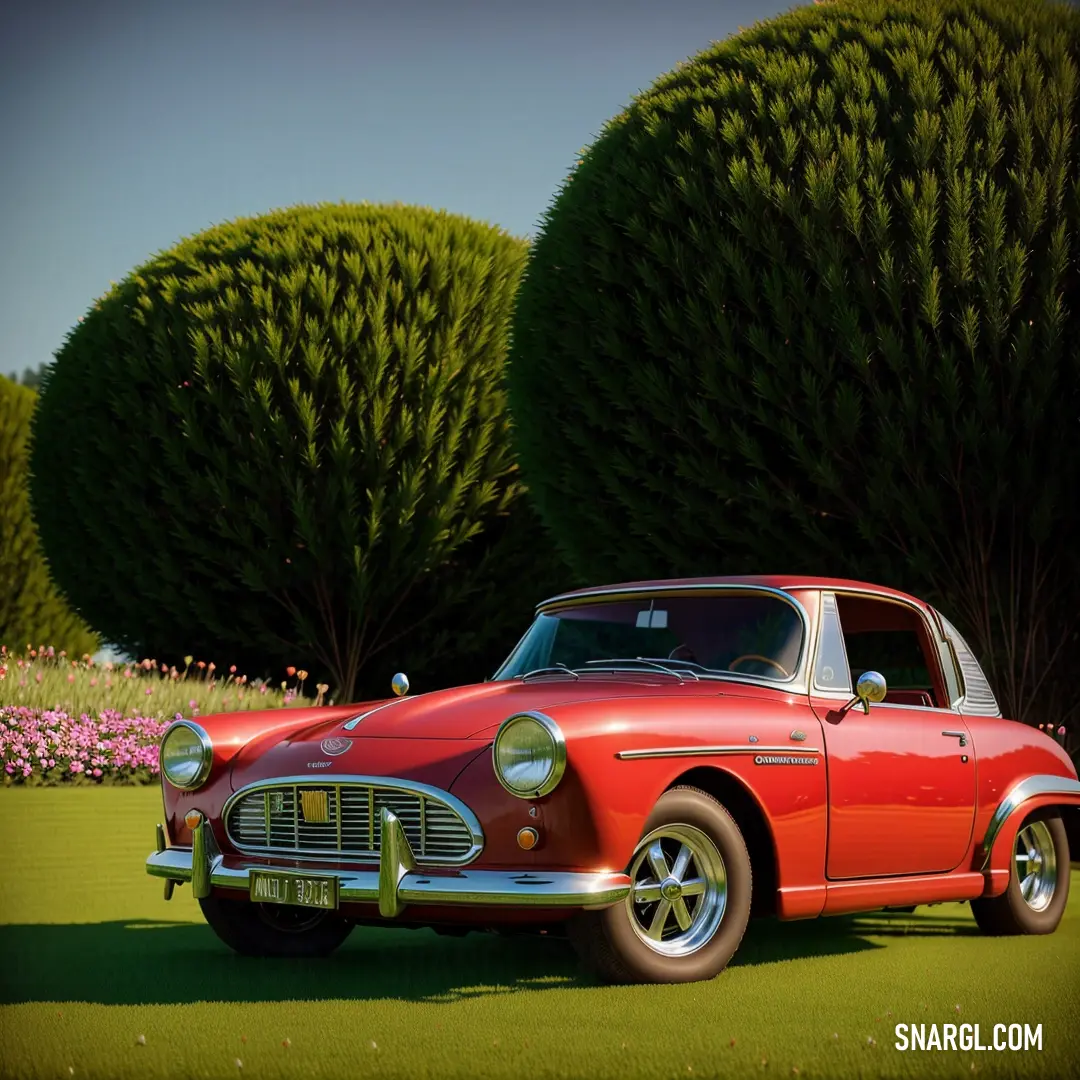 Lava color example: Red car parked in front of a tree and bushes in a park area with a green lawn and pink flowers