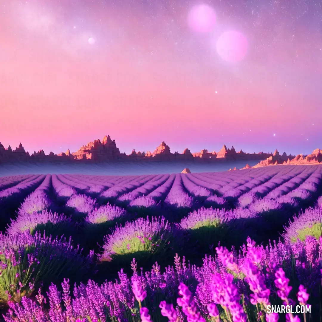 Field of lavender flowers under a pink sky with stars and a distant mountain range in the distance