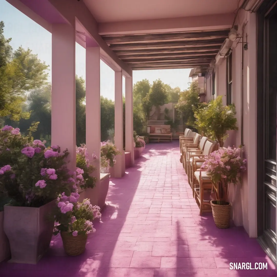 Lavender pink color. Long covered walkway with flowers and benches on it's sides