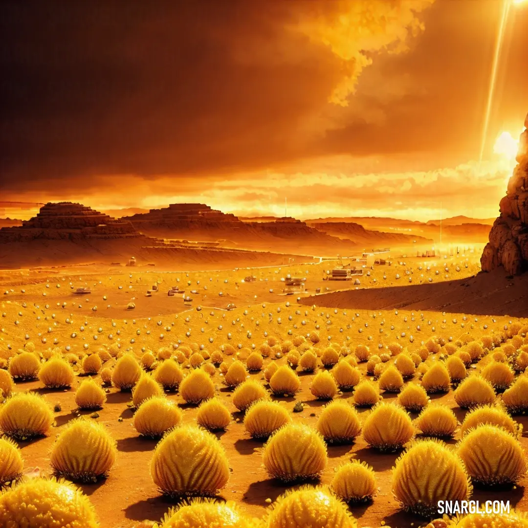 Desert landscape with a large amount of cactus plants in the foreground and a bright orange sky in the background