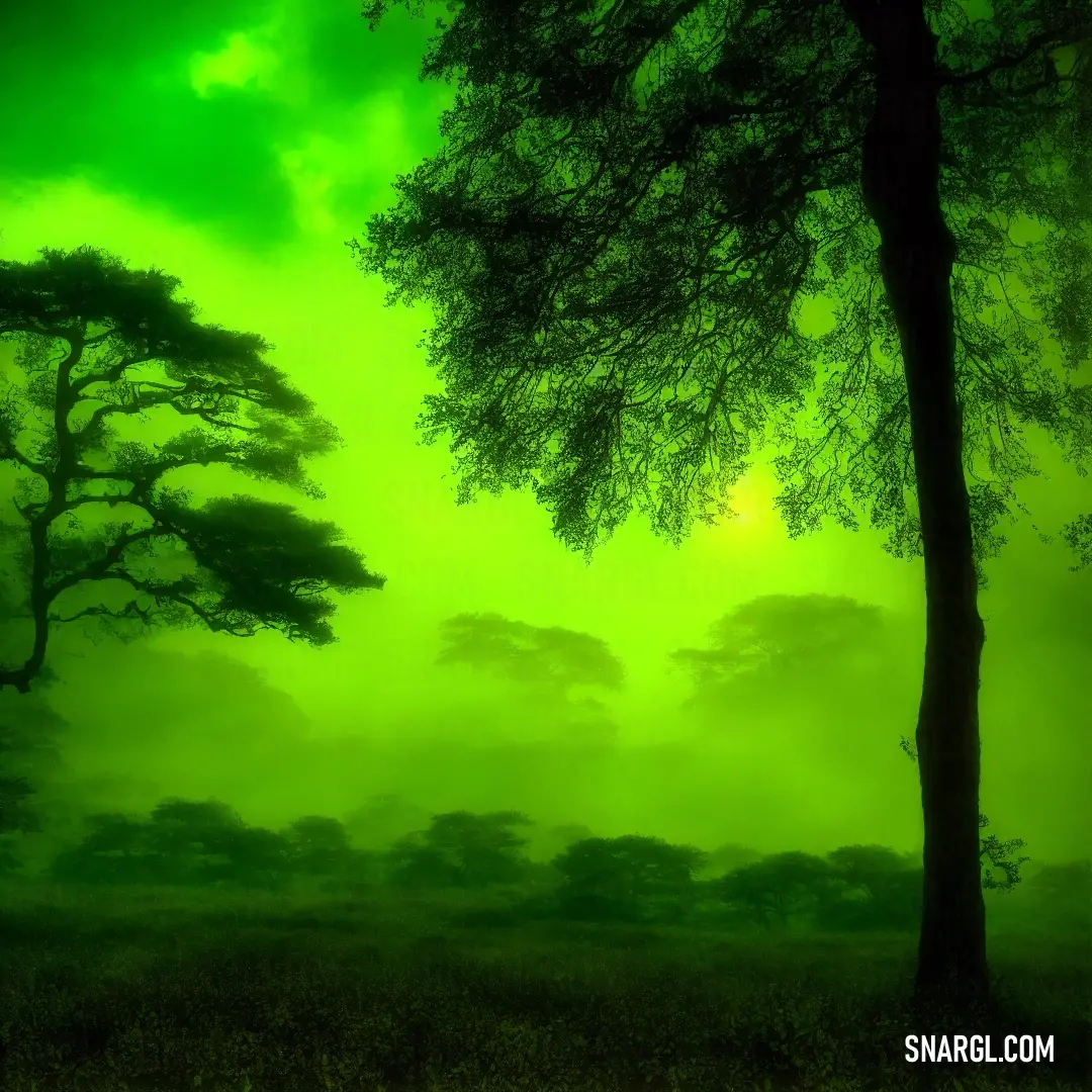 Green sky with trees and grass in the foreground and a green sky with clouds in the background