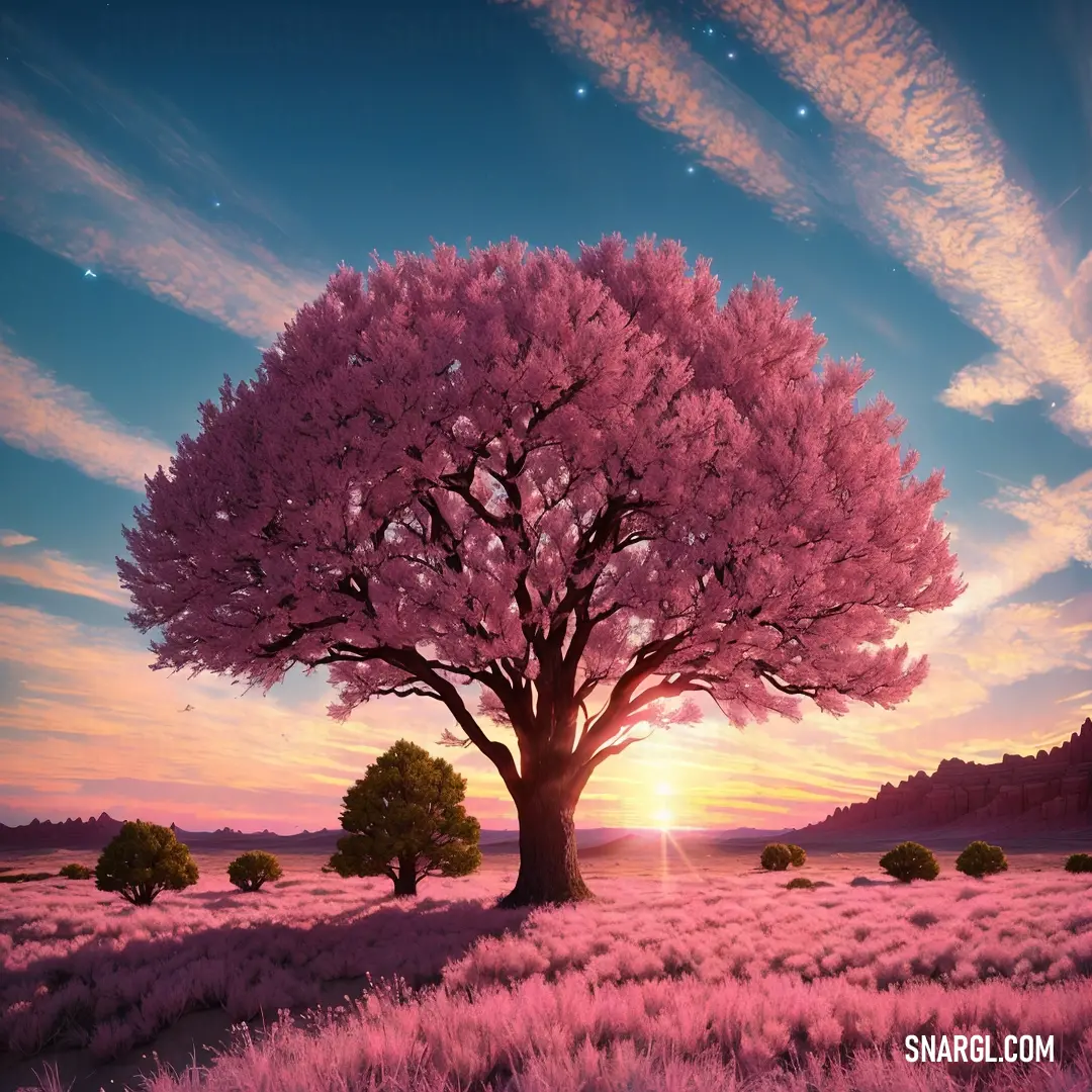 Tree with pink flowers in a field with a sunset in the background and a star in the sky
