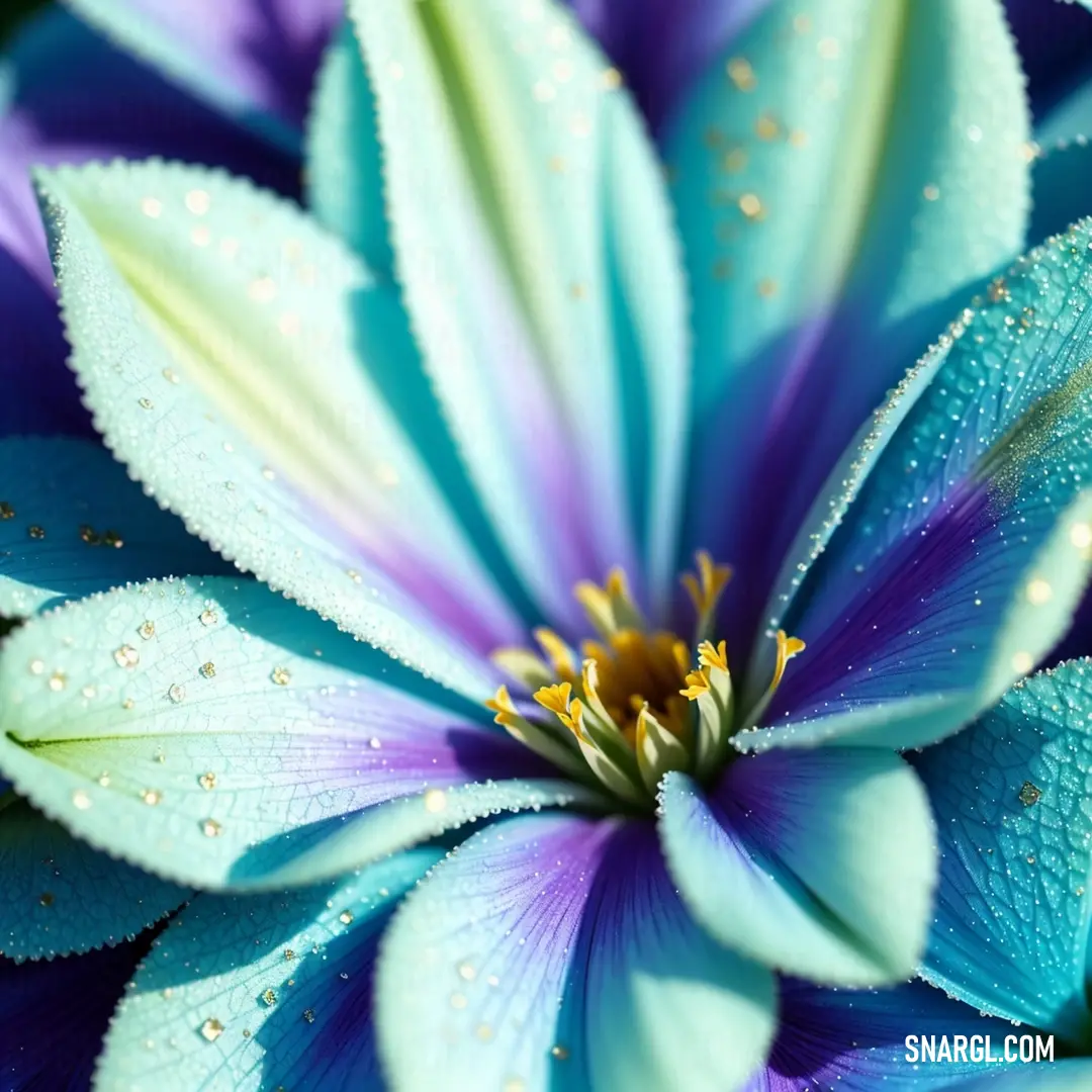 Blue flower with water droplets on it's petals and leaves in the center of the flower