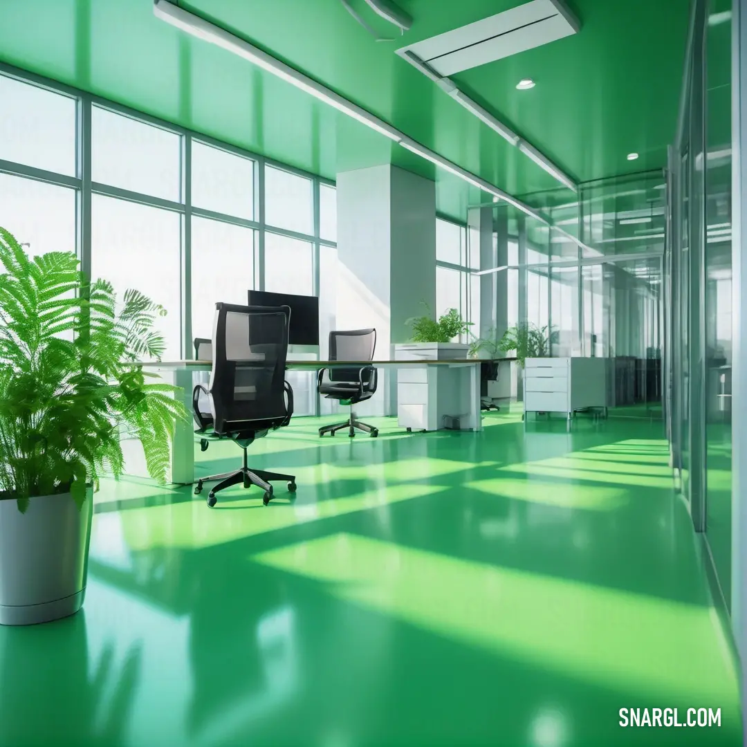 Green office with a plant in the middle of the room and a large window on the side of the room. Color RGB 144,238,144.