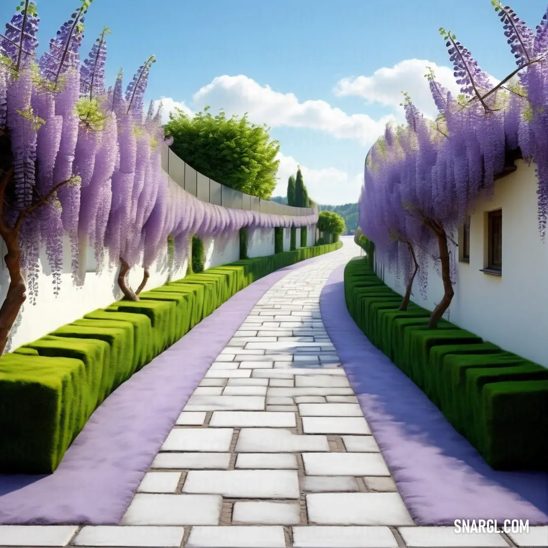 Light pastel purple color. Purple wister tree is growing on a white wall and a brick walkway is lined with green bushes