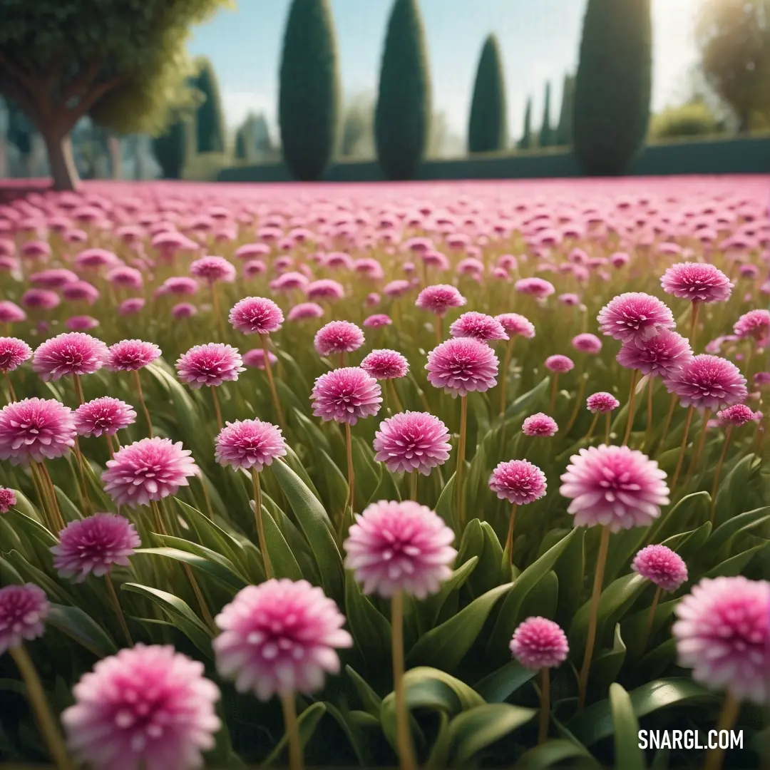 Light Thulian pink color example: Field of pink flowers with trees in the background