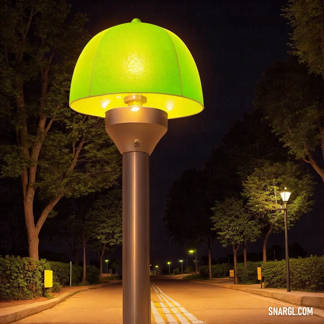 Lamp that is on a pole in the street at night time with trees in the background